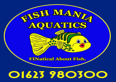 Fish Mania Aquatics